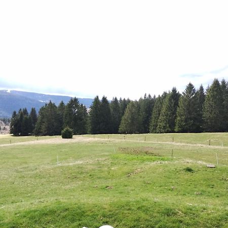 La Ferme Du Levant Жерарме Экстерьер фото