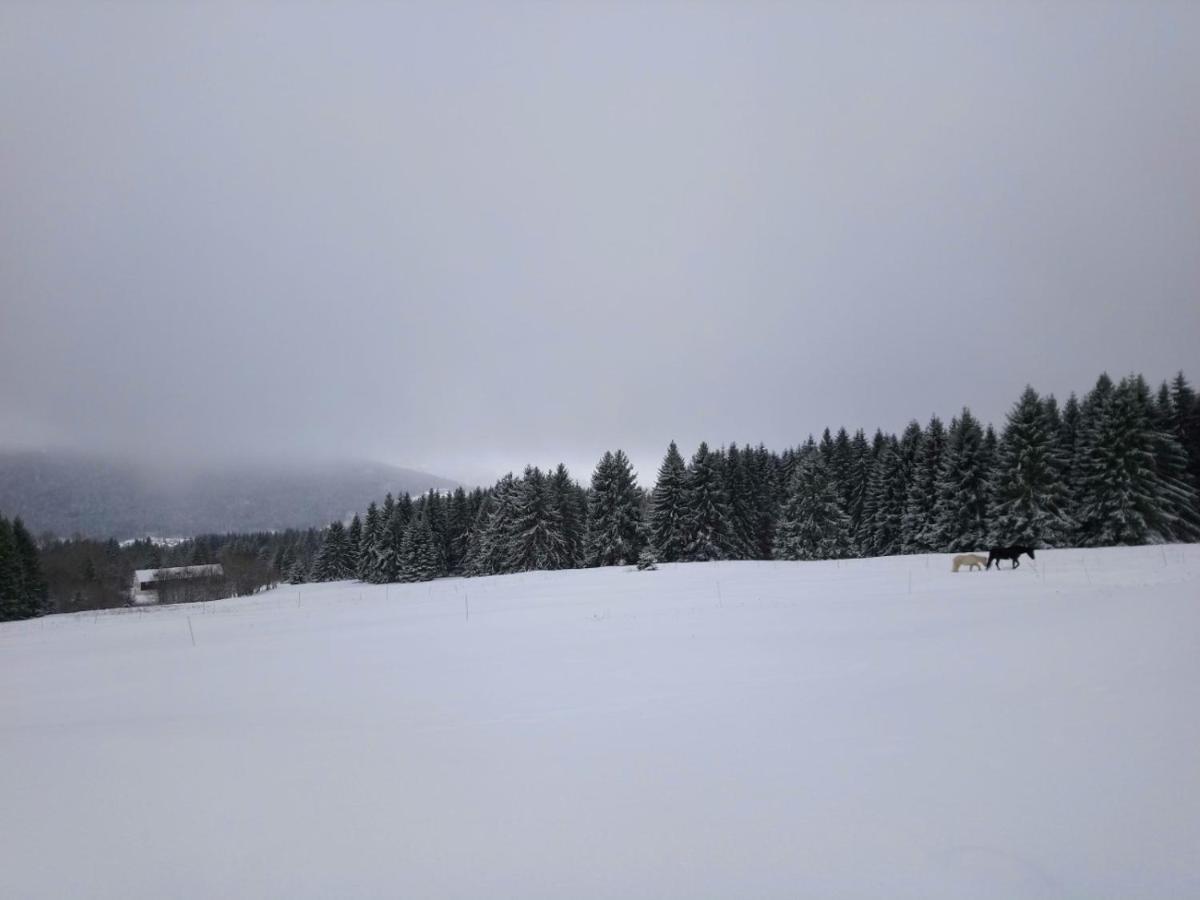 La Ferme Du Levant Жерарме Экстерьер фото